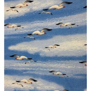 Faye Whittaker Blue Seagull Cotton Fabric 17x33" by Elizabeth’s Studio Flying Sk